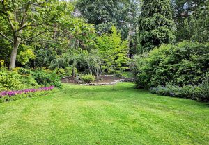 Optimiser l'expérience du jardin à Berny-en-Santerre